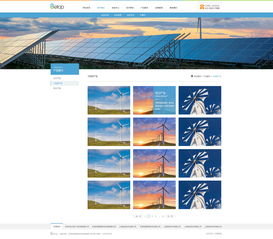 天津网站开发 能源化工官网