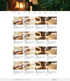 天津网站开发 酒店官网网站开发欣赏