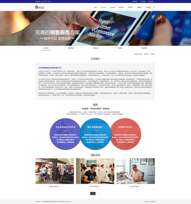 天津网站开发之奔唐网络互联网软件开发官网