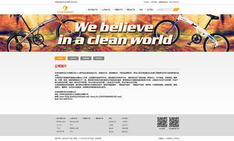 天津网站建设定制开发 朗多自行车官网制作