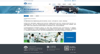 奔唐网络技术支持 飞鹰玉川官网案例欣赏