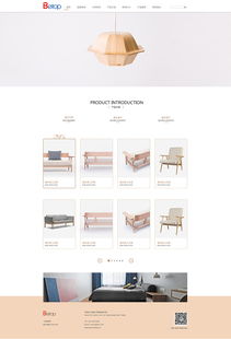 天津网站开发 家居家装官网