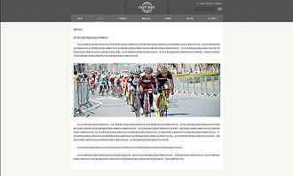 天津网站开发 自行车官网案例欣赏