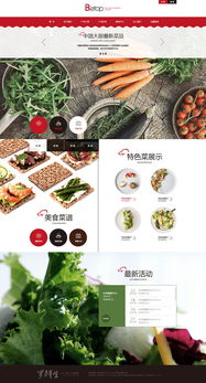 天津网站制作 奔唐网络之绿色养生食品官网