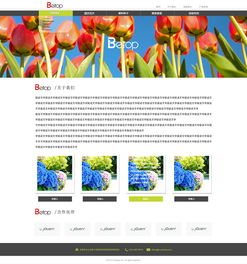 易站云案例展示 衣服辅料公司网站建设实践